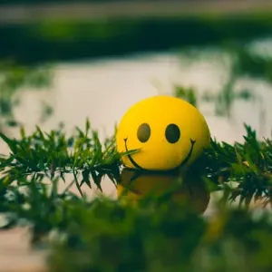 Indian_People_Group logo