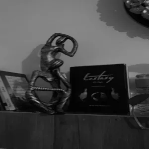 Missing Telegram group