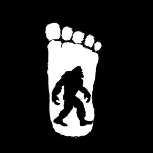 thebigfoot51 logo