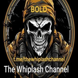 thewhiplashchannel logo